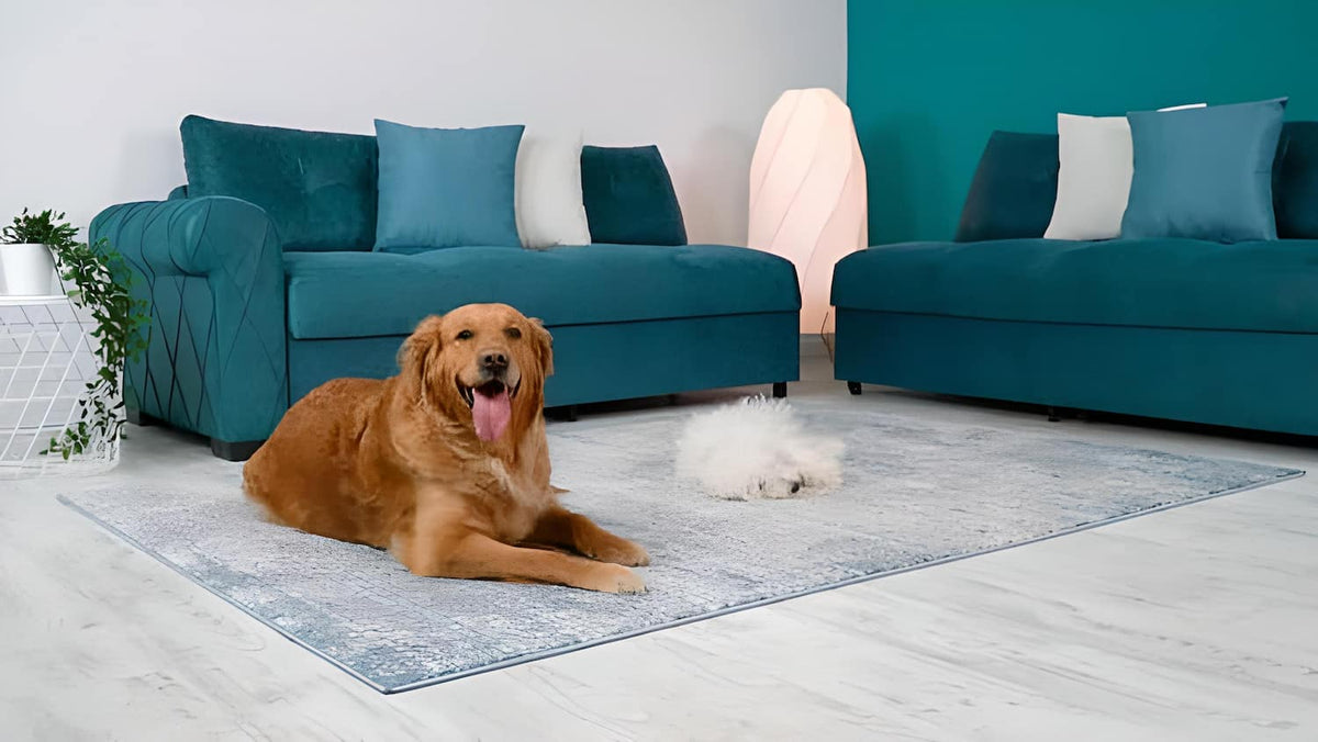 Petsafe Rug Pet-Friendly Rugs Guide for Pet-Owners | Antep Rugs — AntepRugs®