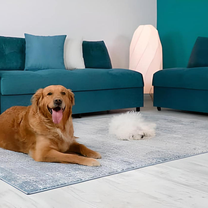 The Ultimate Pet-Friendly Rugs Guide For Pet-Owners