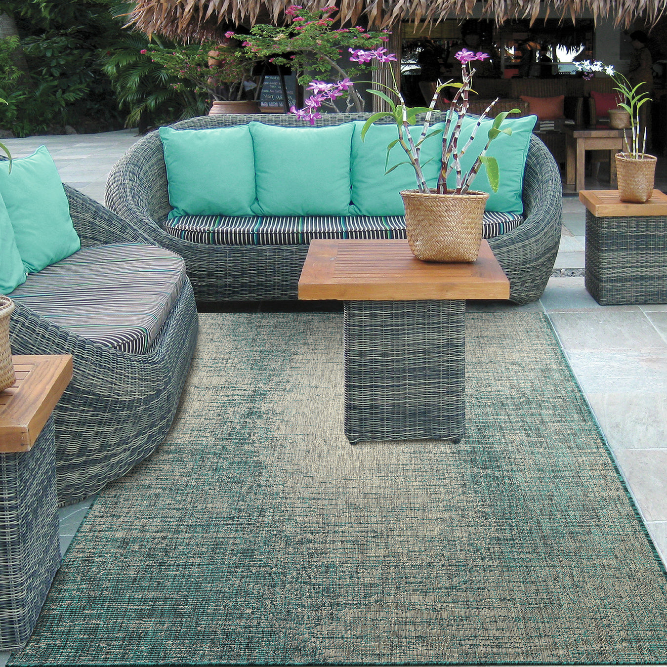 Outdoor Rugs