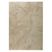 Abstract Area Rug 8x10 Beige
