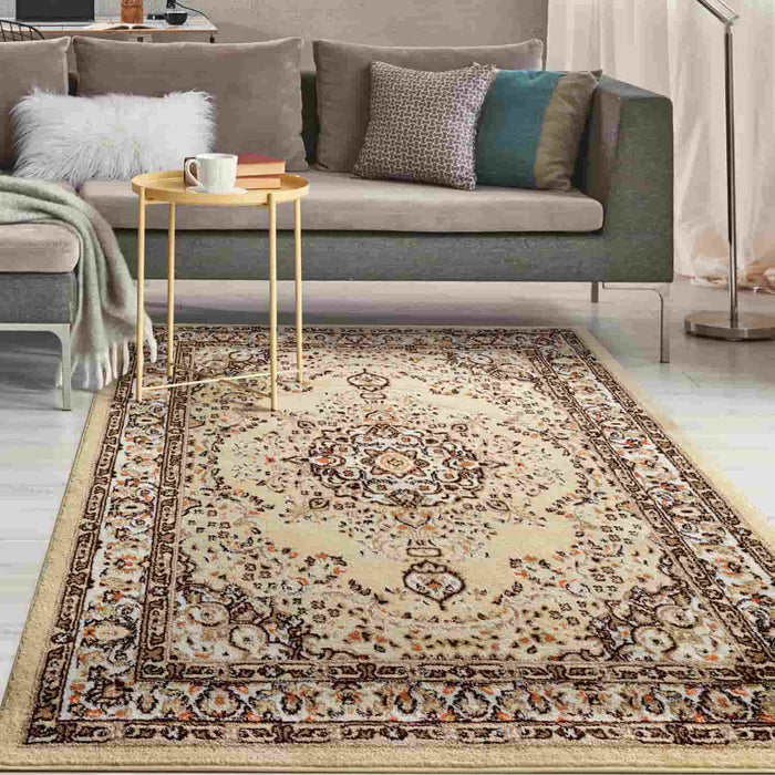 Traditional Indoor Area Rugs 5x7