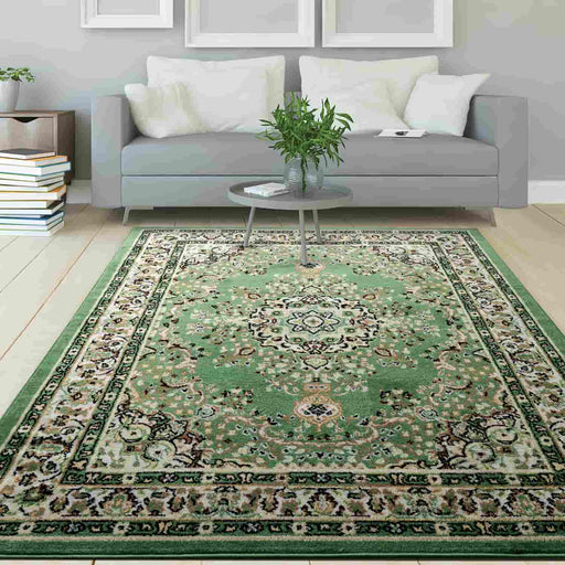 Traditional Indoor Area Rugs Green 5x7